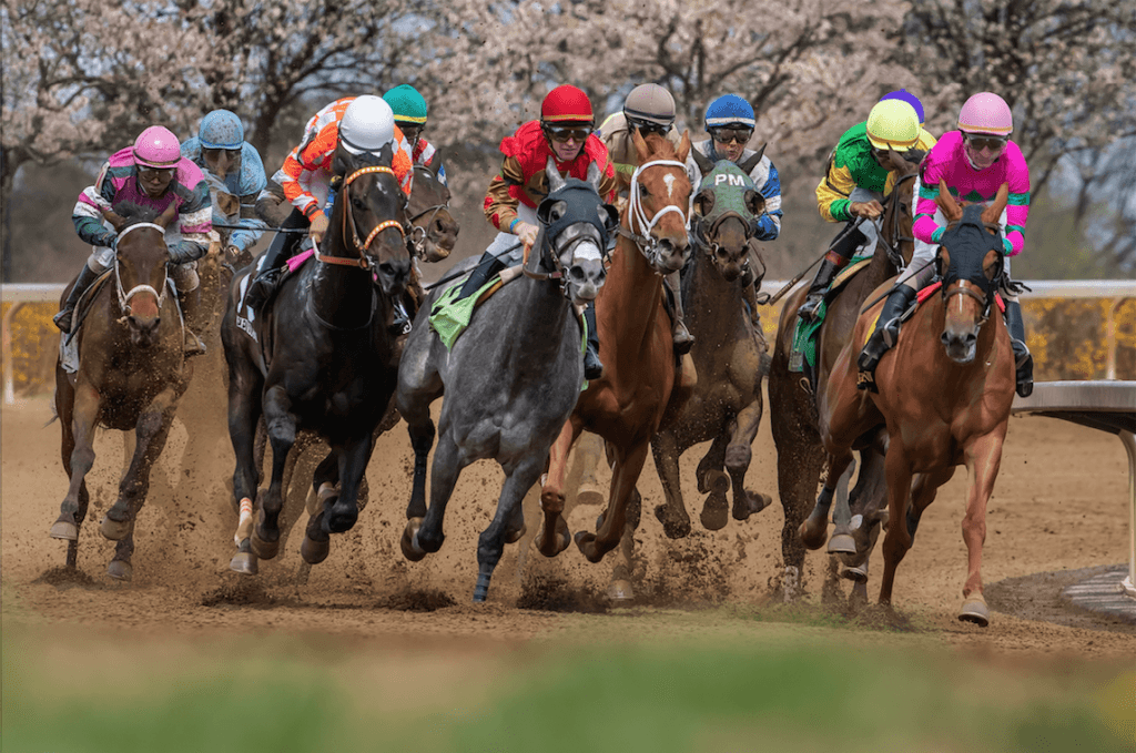 Horse Racing Remains Unaffected by Coronavirus