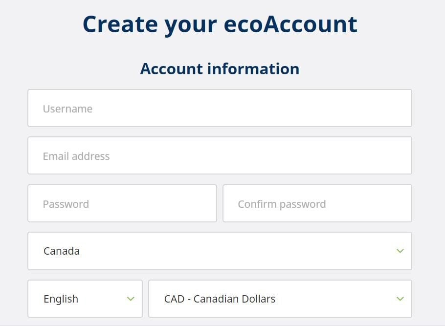 Add money to ecoPayz Account