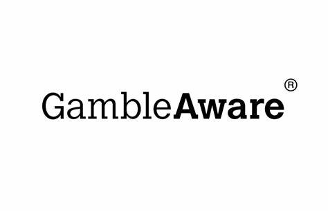 GambleAware allocates funds for charities commissioned by two gaming experts