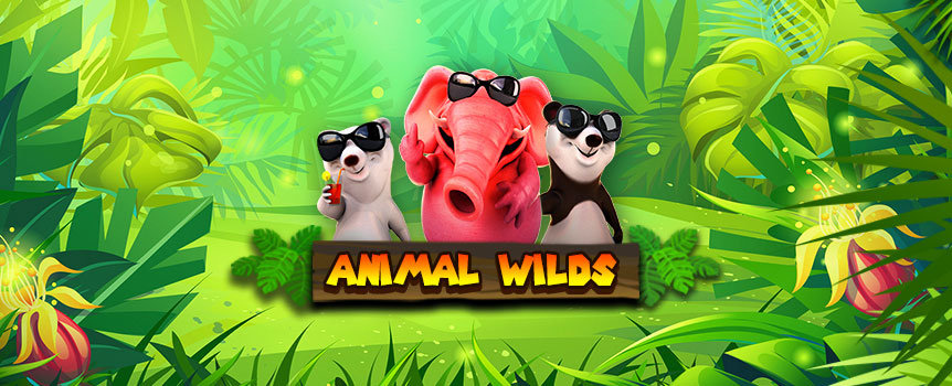 Animal Wilds Slot