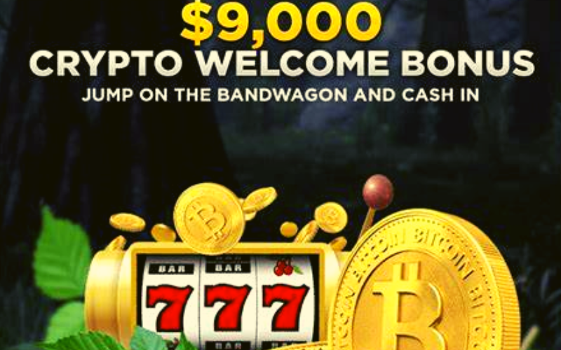 Wild Casino - Crypto Bonus
